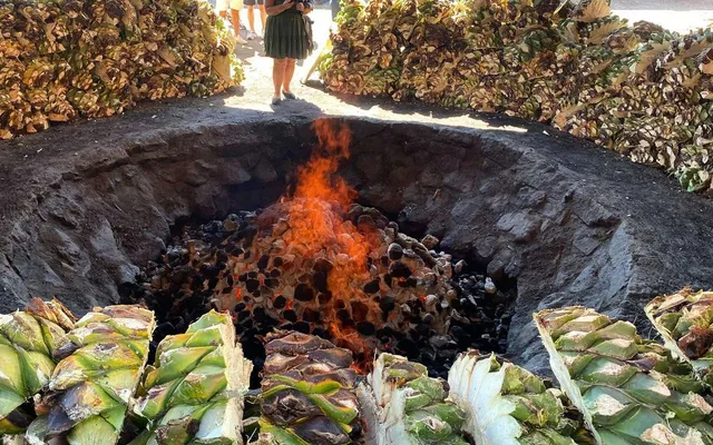 Mezcal Tour Oaxaca (13 Tastes)
