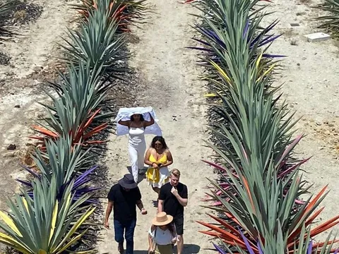 Mezcal Tour Oaxaca (13 Tastes) — photo 1