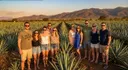 The Mezcal Journey